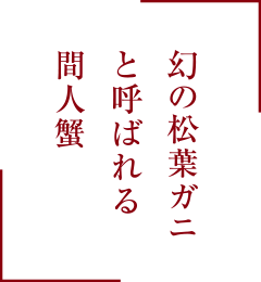 幻の松葉ガニと呼ばれる間人蟹